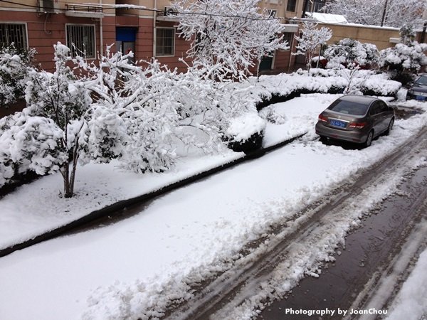 2013初春雪