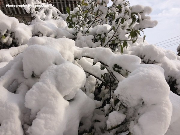 2013初春雪-12