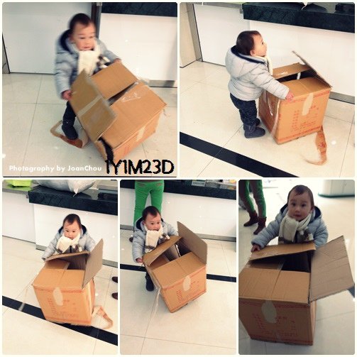 1Y1M23D-16.jpg