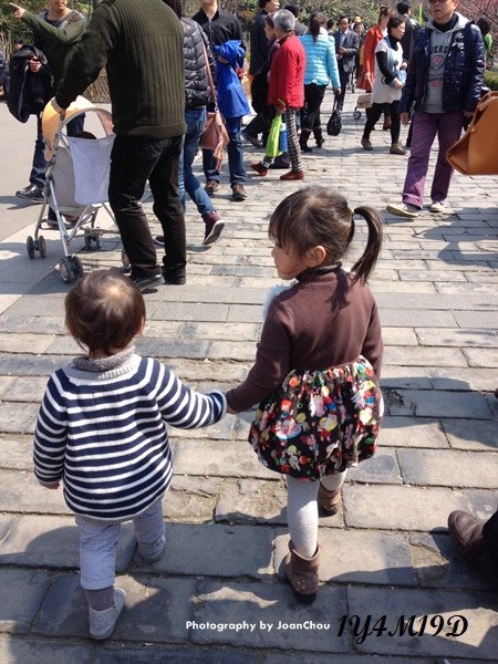 1Y4M19D-5.JPG