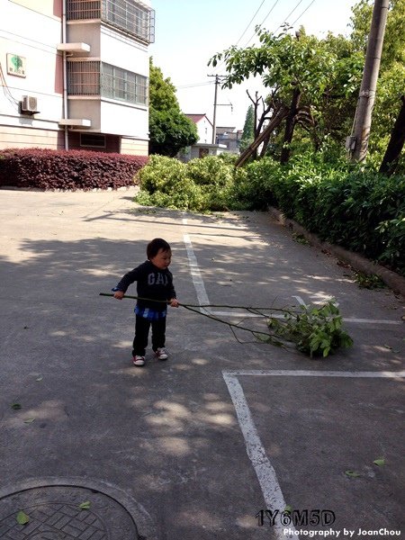 1Y6M5D-7.JPG
