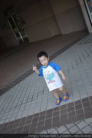 P1060051.JPG
