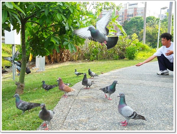 高雄中央公園08.jpg