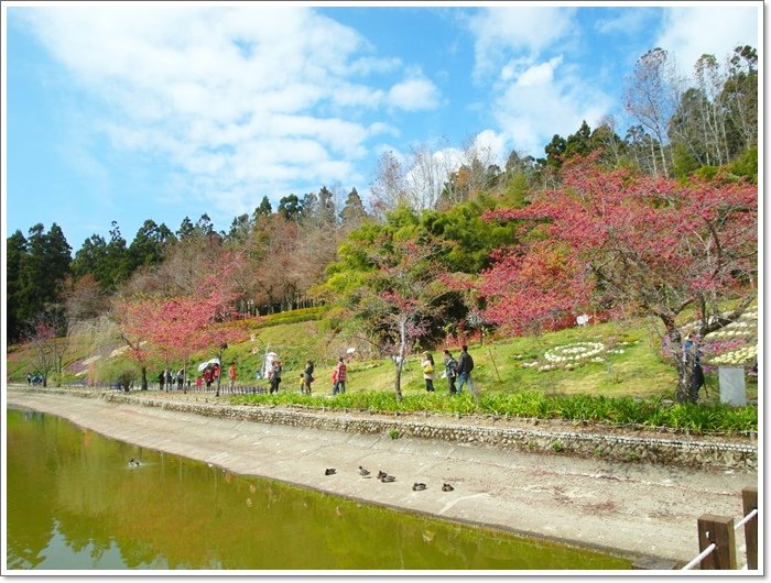 小瑞士花園17.jpg