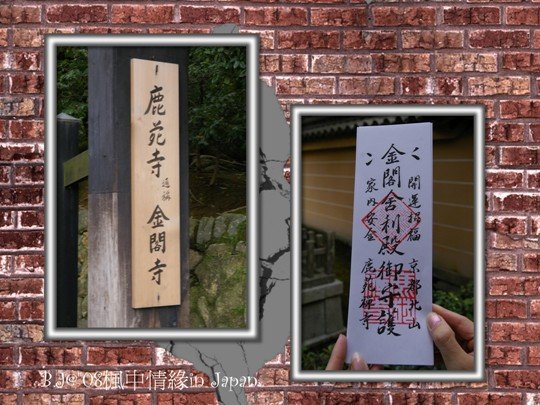 美編_楓中情緣0692.jpg