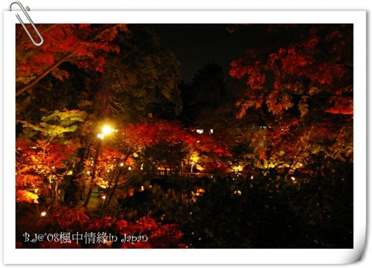 美編_楓中情緣2292.jpg
