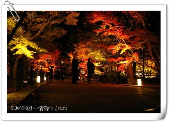 美編_楓中情緣2299.jpg