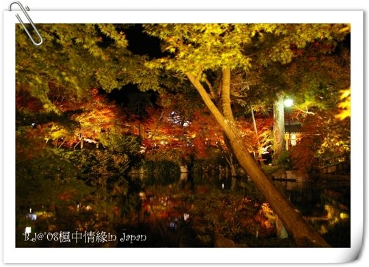 美編_楓中情緣2334.jpg