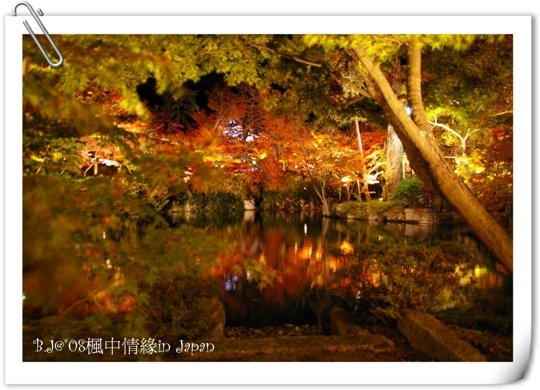 美編_楓中情緣2336.jpg