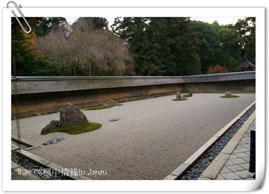 美編_楓中情緣0850.jpg