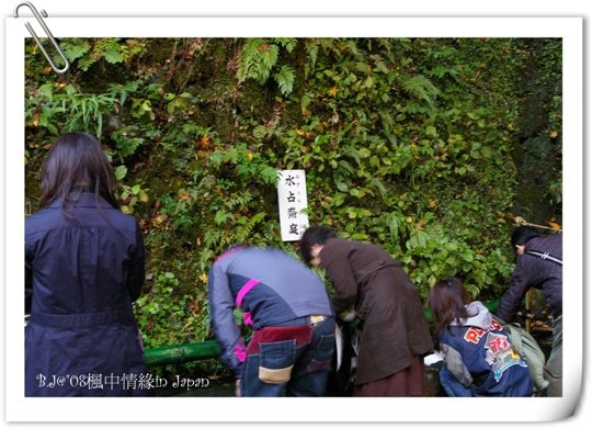 美編_楓中情緣1734.jpg