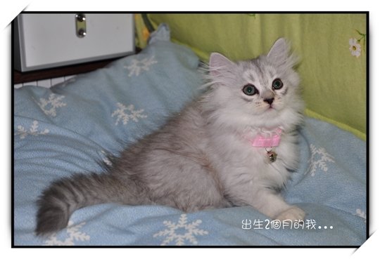 美編2_DSC_1306.jpg