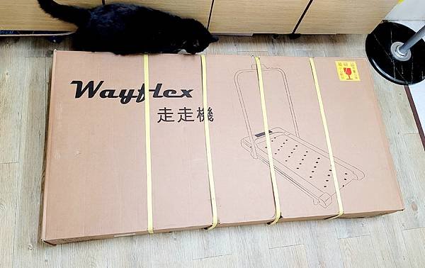 Wayflex按摩漫步機 (1).jpg