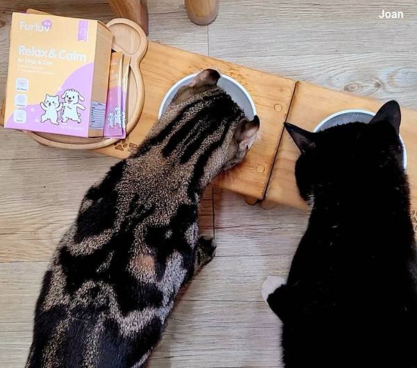 Furluv 樂球 樂紓壓 (30).jpg