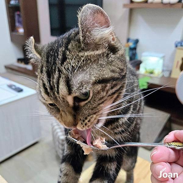 【天貓星系】天貓罐頭系列白身鮪魚凍 (5).jpg