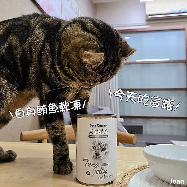 【天貓星系】天貓罐頭系列白身鮪魚凍 (16).jpg