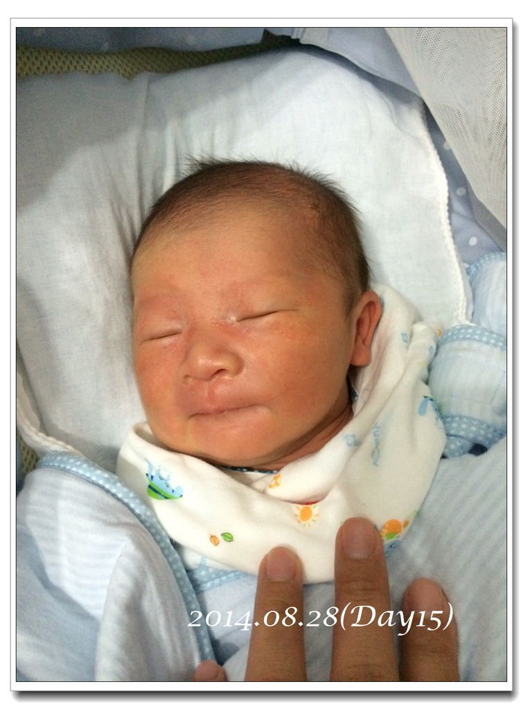 1030828~Day15