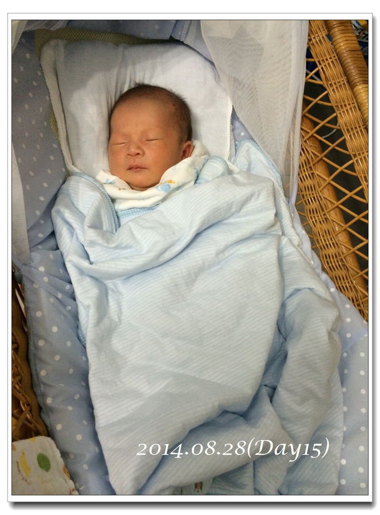 1030828~Day15
