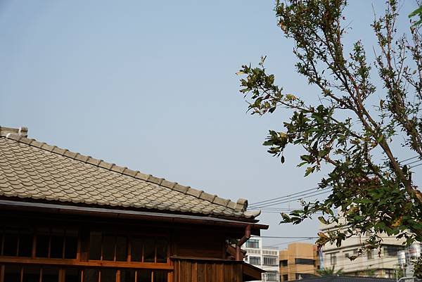 DSC00201