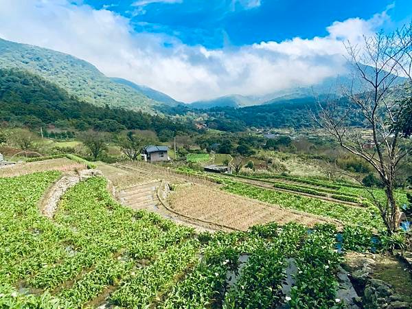 陽明山的青菜園和小油坑