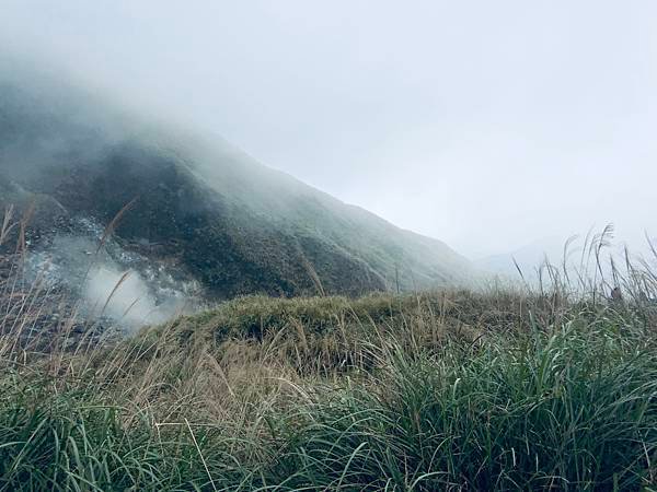 陽明山的青菜園和小油坑