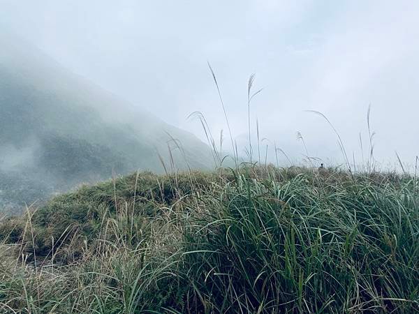 陽明山的青菜園和小油坑