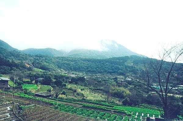 陽明山的青菜園和小油坑