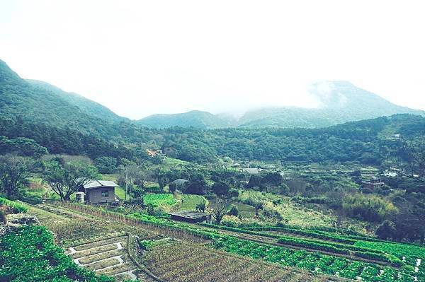 陽明山的青菜園和小油坑