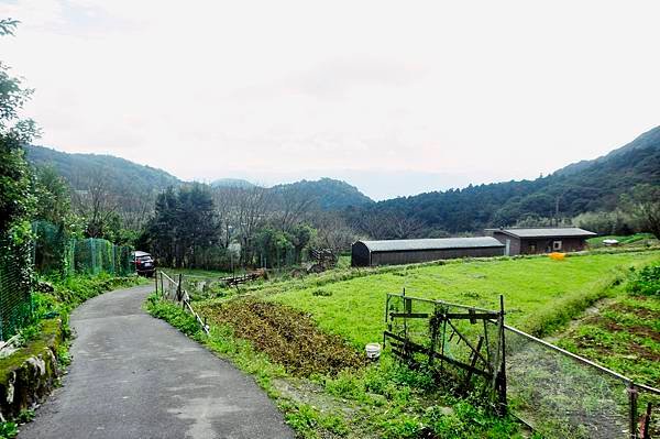 陽明山的青菜園和小油坑