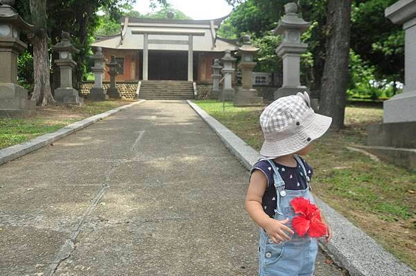 通霄龍貓站牌#通霄神社#苑裡掀海風獨立書店