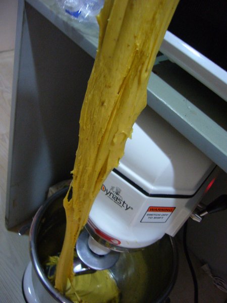 旋轉P1050959.JPG