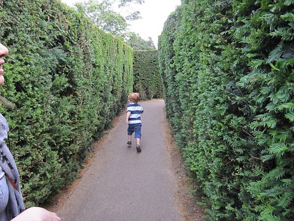 the maze_hampton.jpg