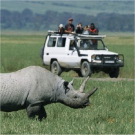 safari-jeep-kenya-270x270.jpg