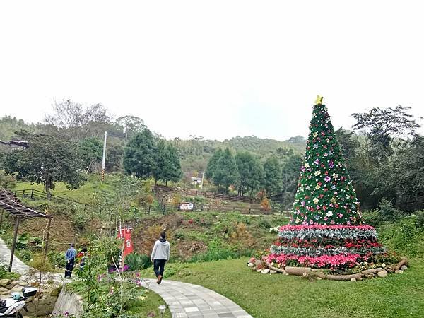 IMG_20190131_221140.jpg