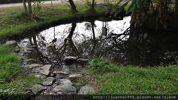 DSC04582.JPG