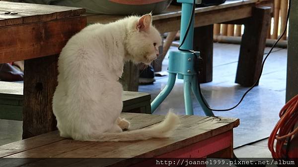 DSC04958.JPG