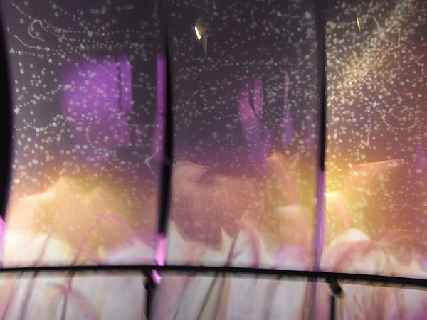 2010 Taipei International Flora Exposiotion