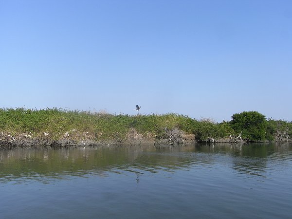 RIMG0602.JPG