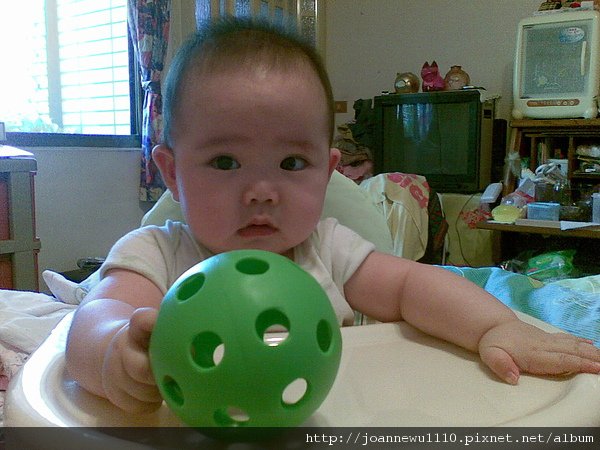20100817.jpg