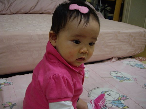 IMGP2403.JPG