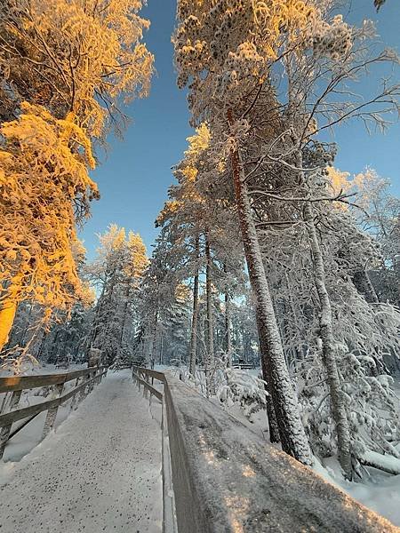 [北歐四國] Day12 羅瓦捏米 Rovaniemi 北極