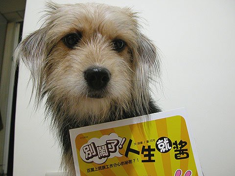 DSCN2532.jpg