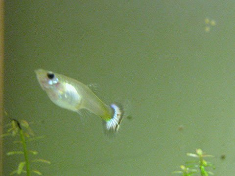 DSCN2657.jpg