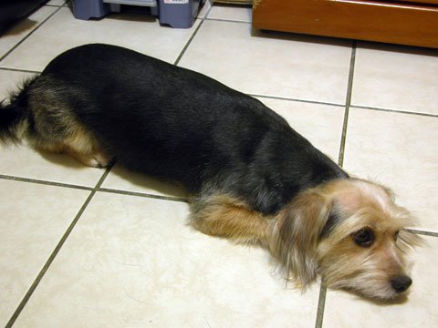 DSCN3134.jpg