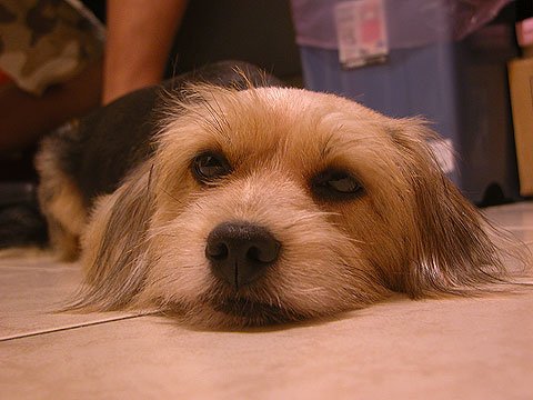 DSCN3135.jpg