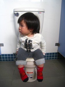 tn_IMG_9254.jpg