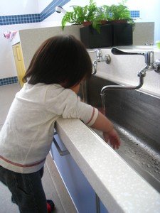 tn_IMG_9260.jpg