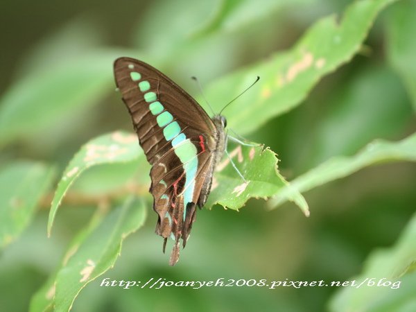 4a6e8963d8458-1.jpg