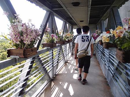 P4123285.JPG