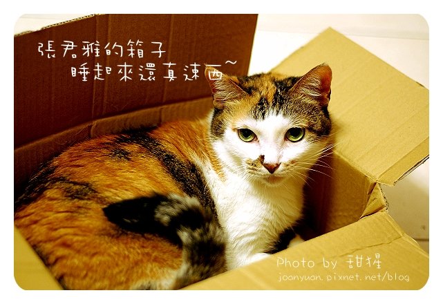 GGG 0271.jpg